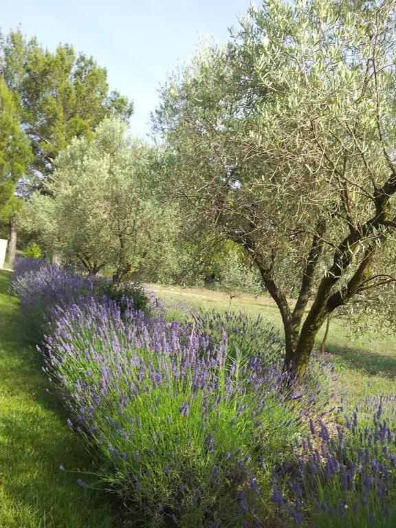 Ferienwohnung L'Amanderaie Piscine Privee A Cote De Lourmarin Luberon Cadenet Zimmer foto